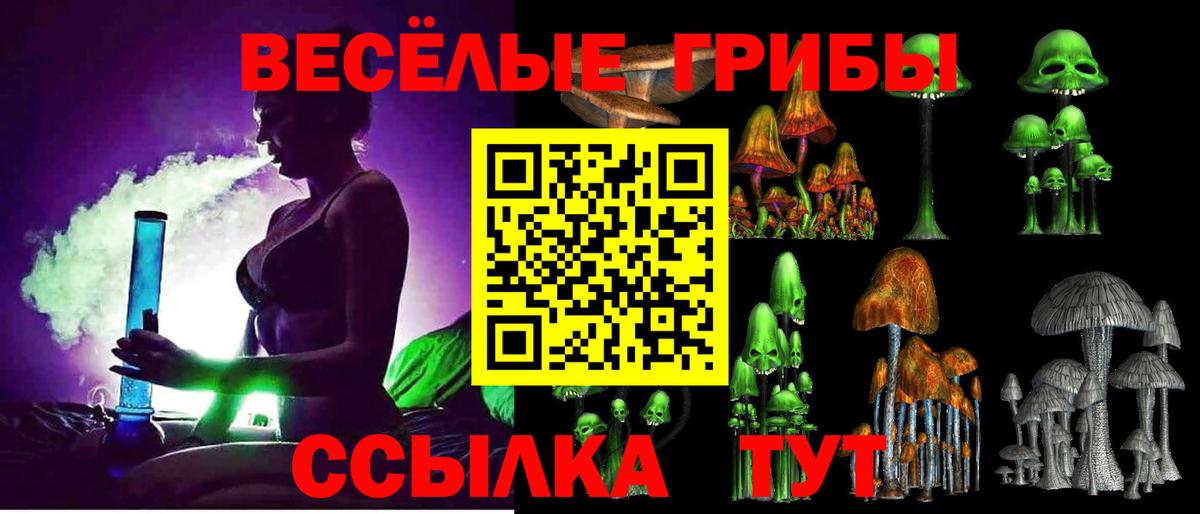 Галлюциногенные грибы прущие грибы Хасавюрт